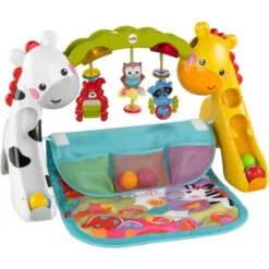 Tapis évolutif 3 En 1 FISHER PRICE : Comparateur, Avis, Prix