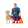 Krypto Et Les Super-Animaux - Superman Et Krypto FISHER PRICE : Comparateur, Avis, Prix -Fisher Price Soldes a1c62a54129eeed42de7bd267e64
