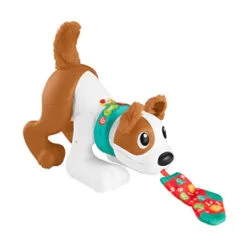 Chiot 123, Rampe Avec Moi FISHER PRICE : Comparateur, Avis, Prix